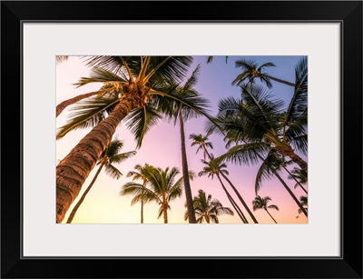 Sunrise In Kihei Beach, Maui Island, Hawaii, USA