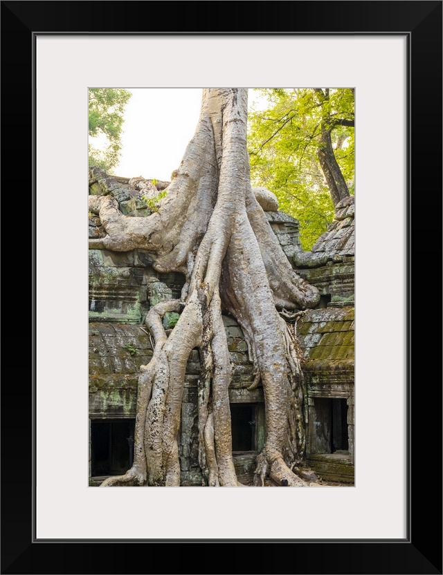 Ta Prohm temple (Rajavihara), Angkor, Siem Reap Province, Cambodia.