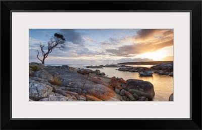Tasmania, Australia. Binalong bay, Bay of Fires at sunrise