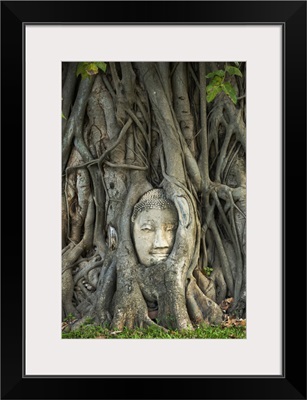 Thailand, Phra Nakhon Si Ayutthaya, Wat Mahathat, Buddha Image In Roots Of Bodhi Tree