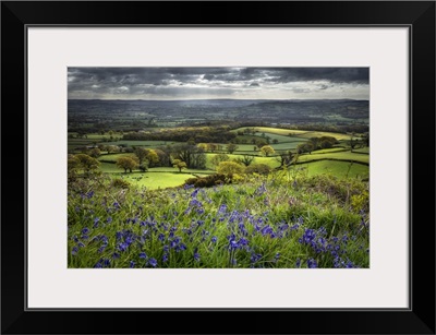 The Marshwood Vale In Spring From Coney's Castle, Dorset, England, UK