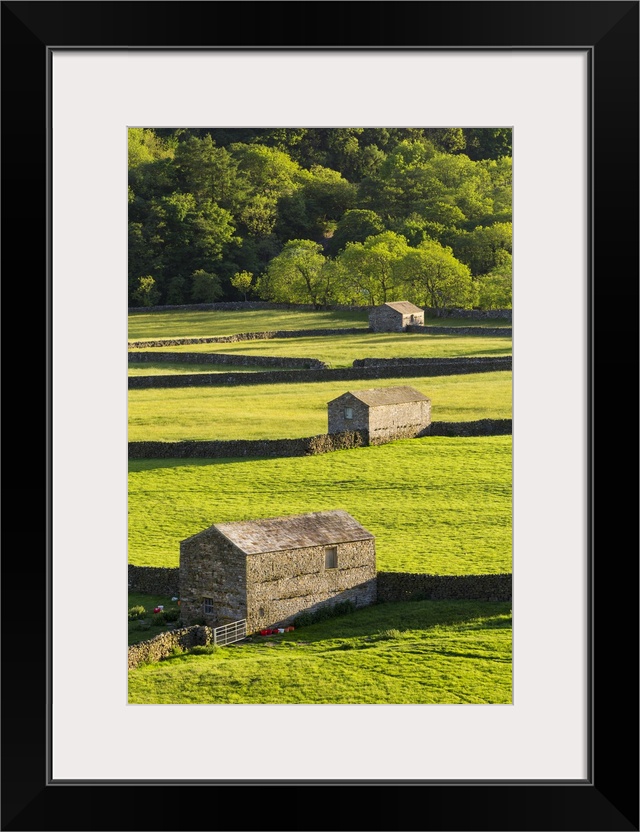 United Kingdom, England, North Yorkshire, Gunnerside. Traditional barns in Swaledale.