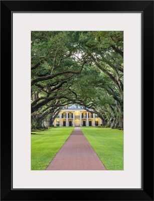 United States, Louisiana, Vacherie. Historic Oak Alley Plantation