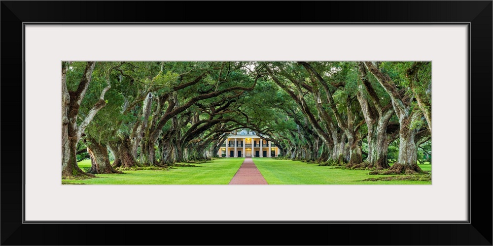 United States, Louisiana, Vacherie. Historic Oak Alley Plantation.