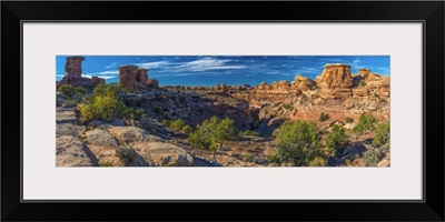 Utah, Canyonlands National Park, The Needles District, Big Spring Canyon Overlook