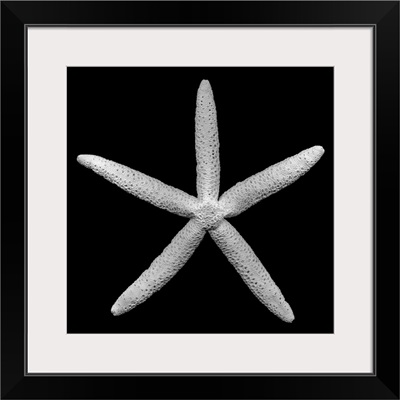 Finger Starfish