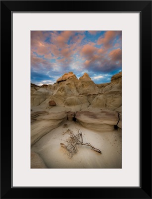 A Lone Branch In New Mexico's Bisti Badlands, Bisti Badlands