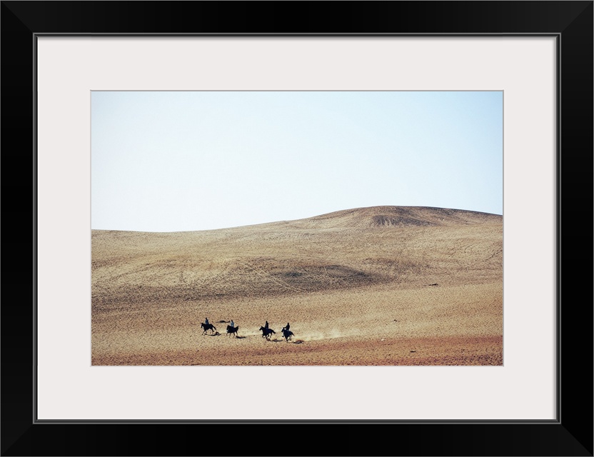 Four young men riding their horses, bareback, through the desert near the Great Pyramids; Giza, Egypt.