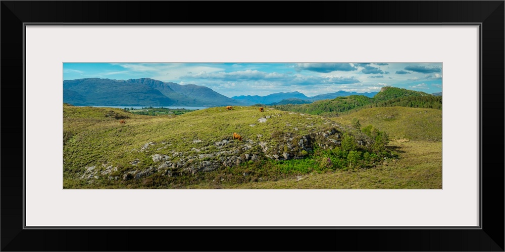 Panorama of Sotland's Highland Cow and Peaks, Plockton