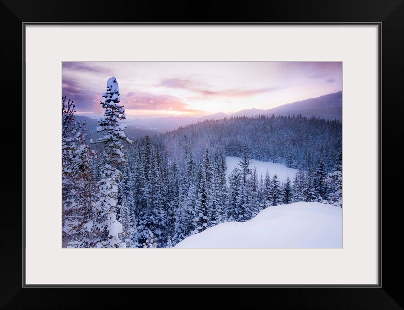 Nature photograph of snow covered trees and  mountains in Colorado as the sun sets.