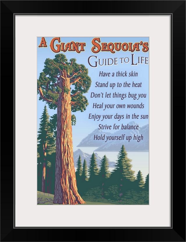 Retro stylized art poster of a giant sequoia tree.