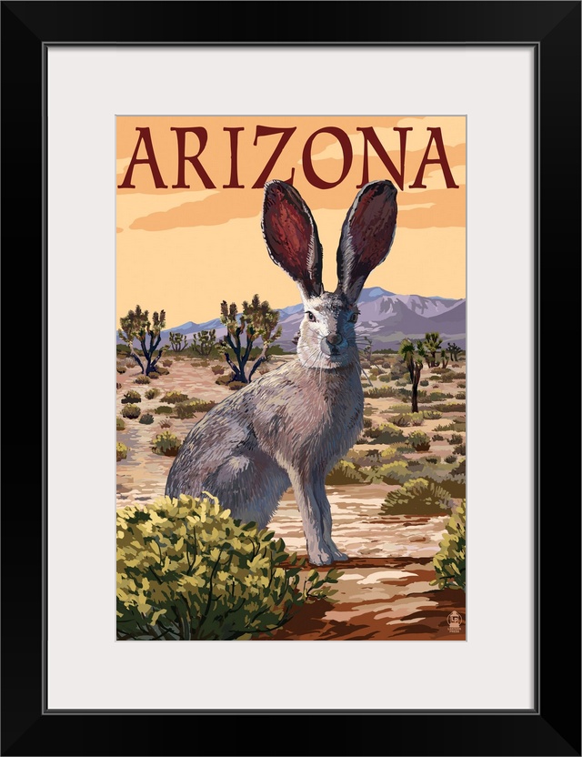 Arizona, Jackrabbit