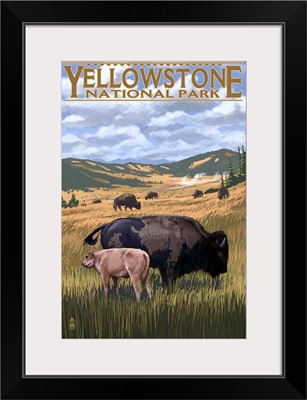 Bison and Calf Grazing, Yellowstone National Park