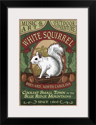 Brevard, North Carolina - White Squirrel Vintage Sign: Retro Travel Poster