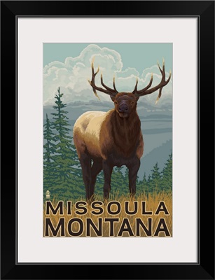 Elk Scene, Missoula, Montana