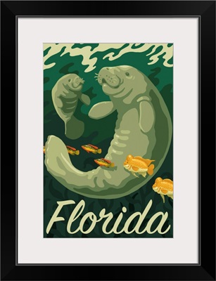 Florida - Manatee & Calf Swimming