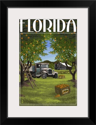 Florida, Orange Grove with Truck