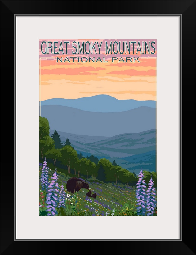 Great Smoky Mountains National Park, Bear and Spring Flowers