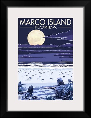 Marco Island, Florida - Baby Sea Turtles: Retro Travel Poster