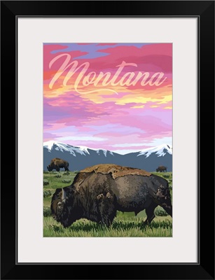 Montana - Bison & Sunset