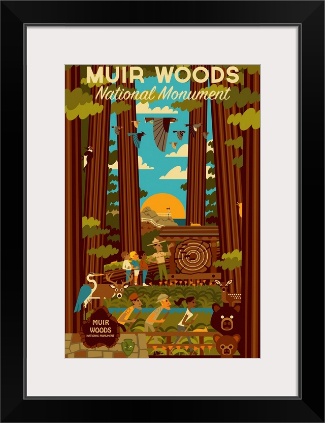 Muir Woods National Monument, California - Geometric