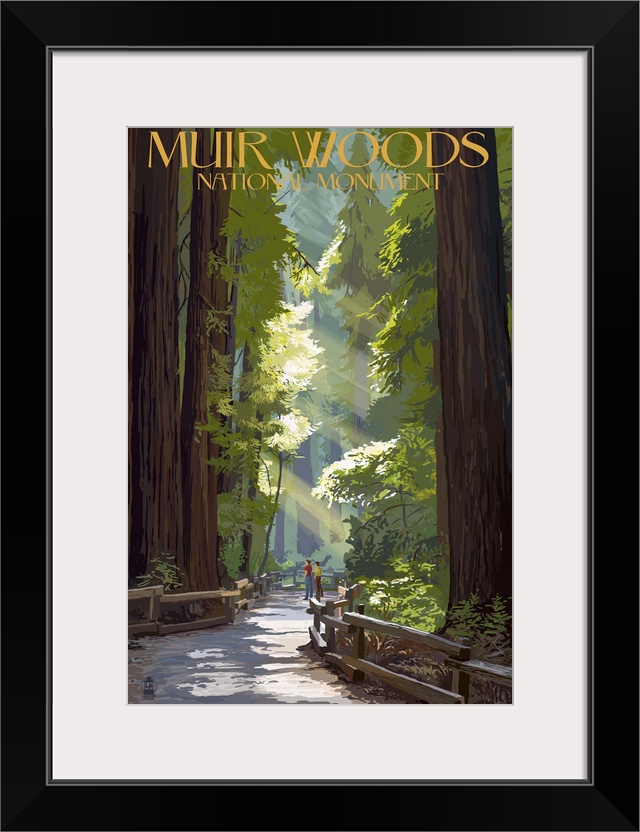 Muir Woods National Monument, California - Pathway: Retro Travel Poster