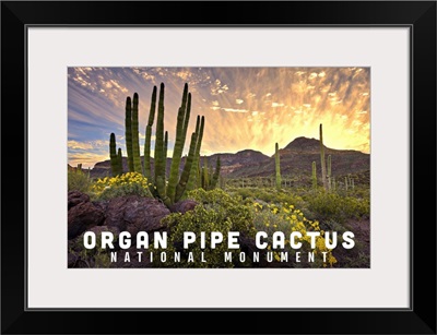 Organ Pipe Cactus National Monument, Arizona - Sunrise