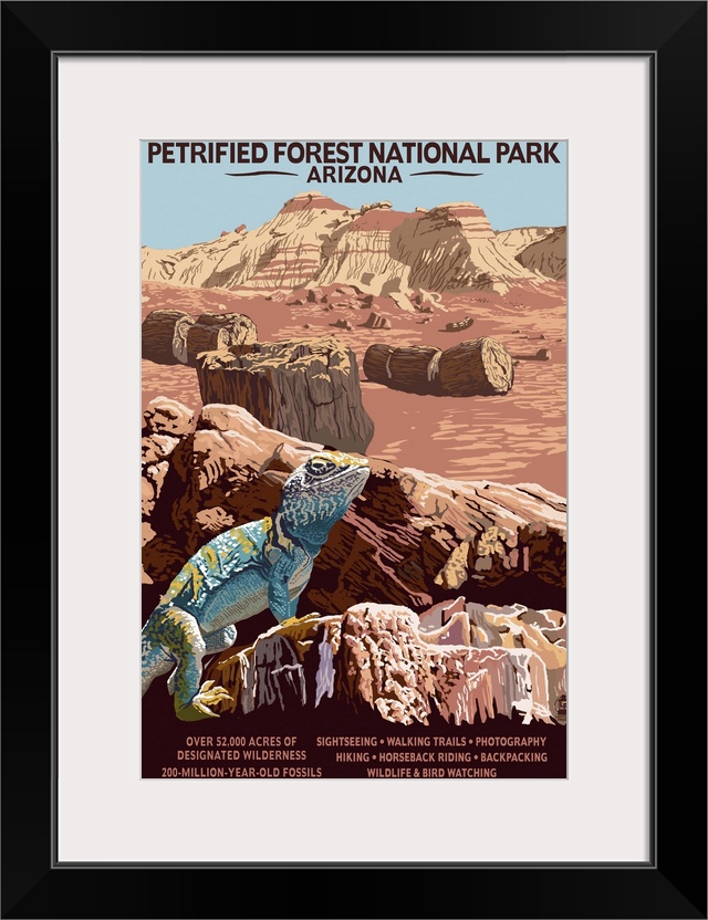 Petrified Forest National Park - Arizona: Retro Travel Poster