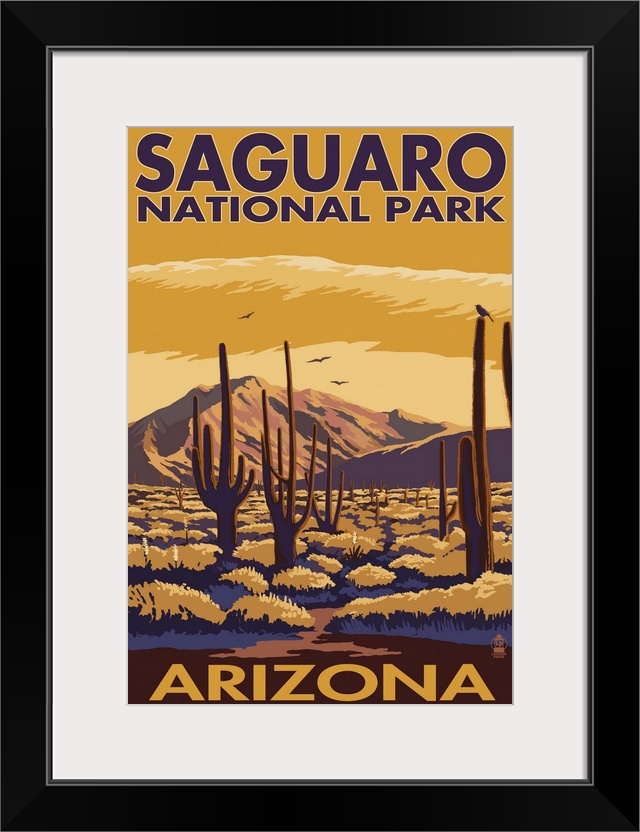 Saguaro National Park, Arizona