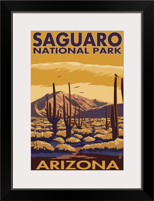 Saguaro National Park, Arizona