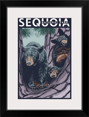 Sequoia National Park, Bears And Cubs In Tree: Retro Travel Poster
