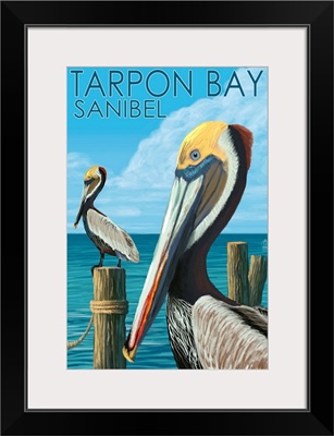 Tarpon Bay, Florida, Brown Pelicans, Lantern Press Original Poster