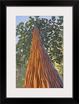 Tree Looking Up: Retro Travel Poster