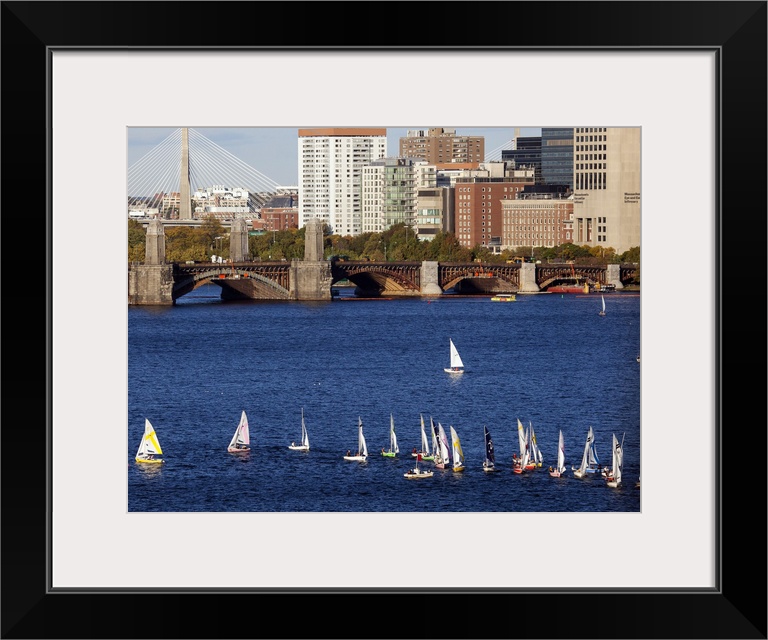 Regatta In The charles River, Boston, Massachusetts - Aerial Photograph