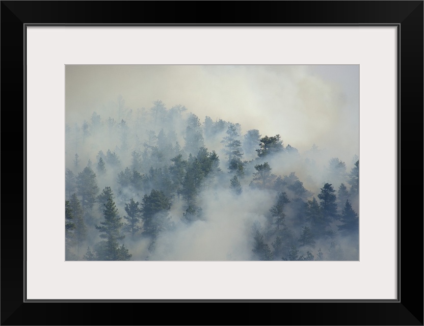 Smoke From a Wildland Fire, Rocky Mountains, Colorado - Aerial Photograph