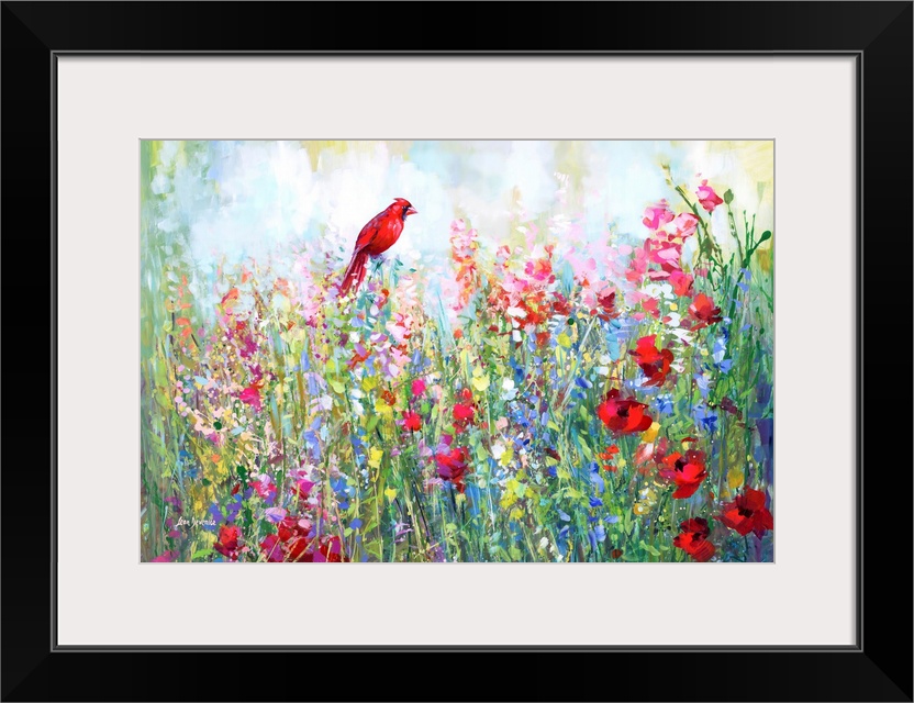 Cardinal among the wildflowers