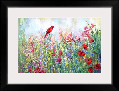 Cardinal among the wildflowers
