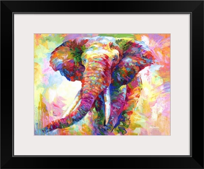 Colorful Elephant