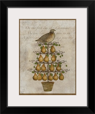 Partridge Pear Tree