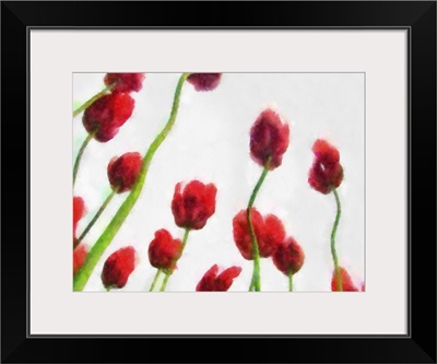 Red Tulips from the Bottom Up III
