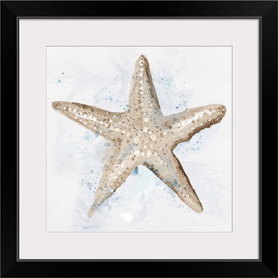 Starfish In Beige