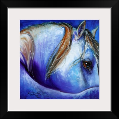 Blue Moonstruck Arabian