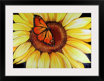 Sunflower and Butterfly By Marcia Baldwin