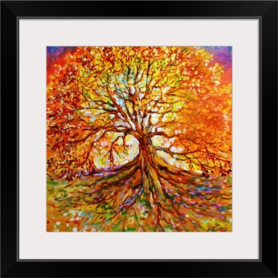 Tree Of Life Autumn Sunset