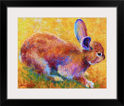 Cottontail I