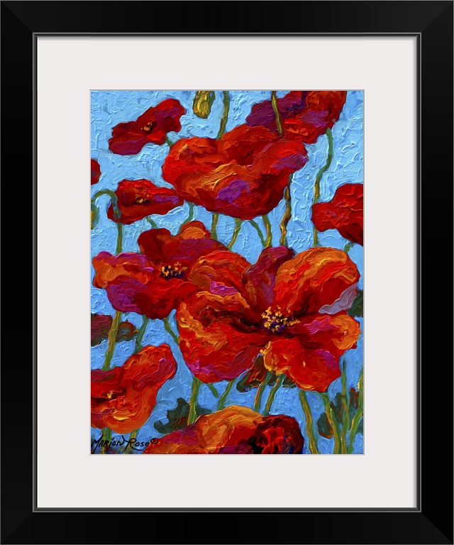 Poppies