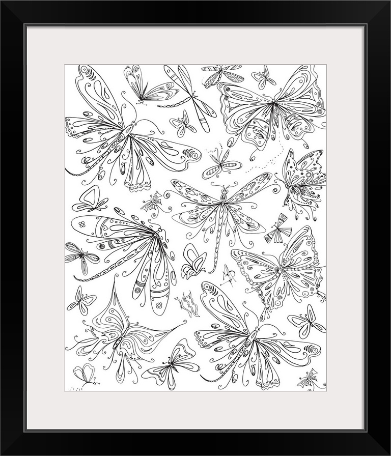 Black and white line art of an assortment of butterflies and dragonflies of different shapes and sizes.