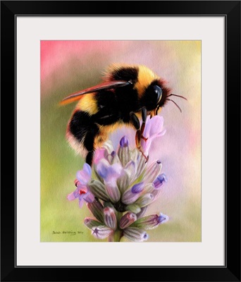 Bumble Bee On Flower
