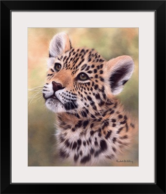 Jaguar Cub Portrait