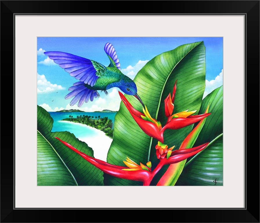 Tropical themed artwork using bright vivid colors to depict the flowers and animals of the environment.